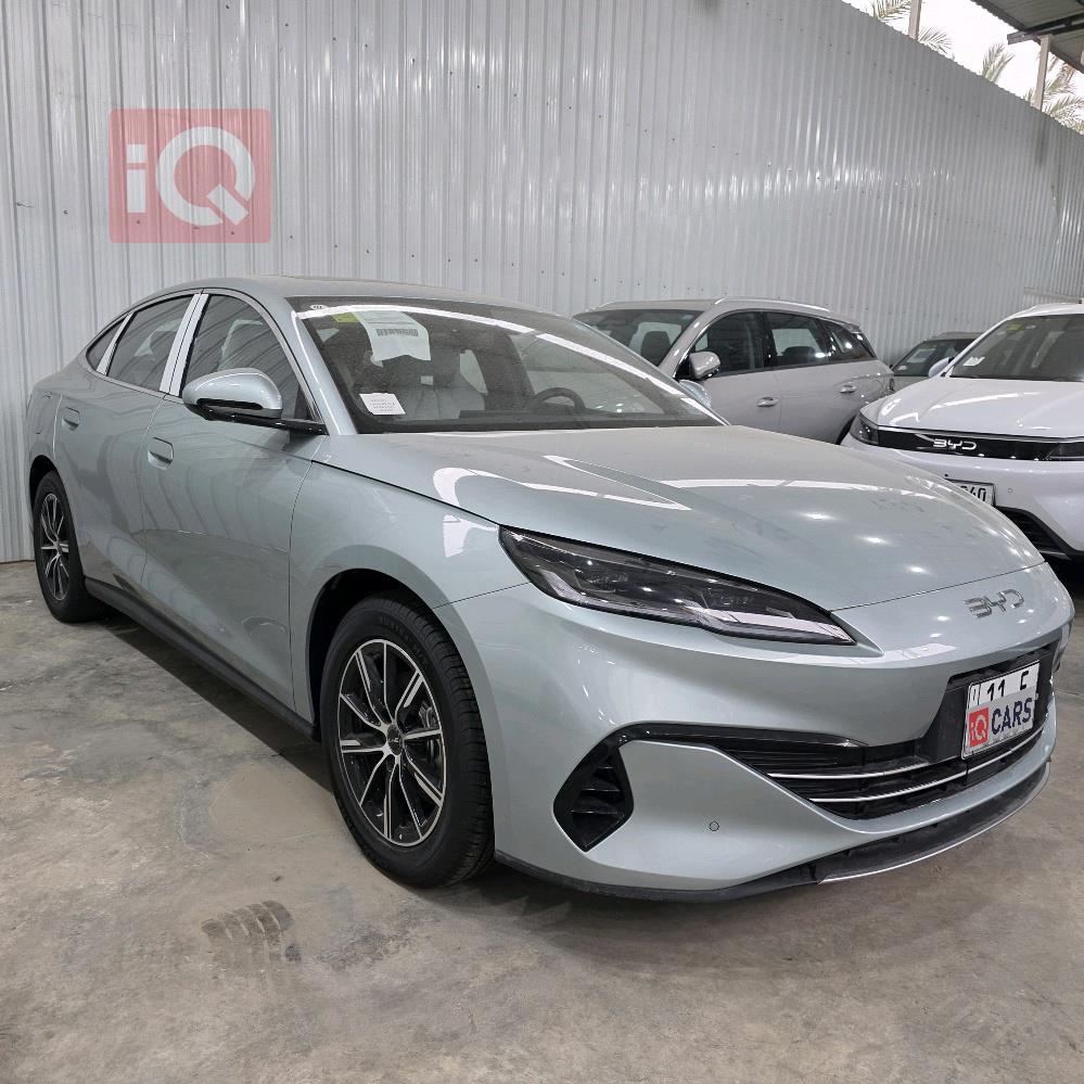 بي واي دي سيل 06 DM-i